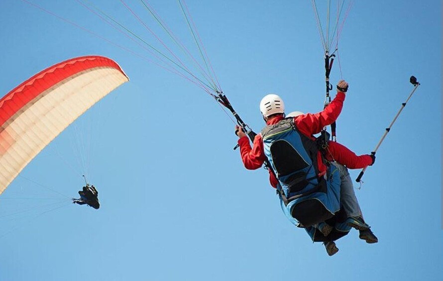 Picture 1 for Activity Marrakech: Atlas Mountains Paraglide and Camel Ride Day Trip