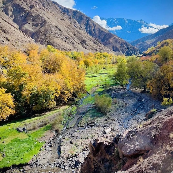 Picture 15 for Activity Marrakech: Atlas Mountains Paraglide and Camel Ride Day Trip