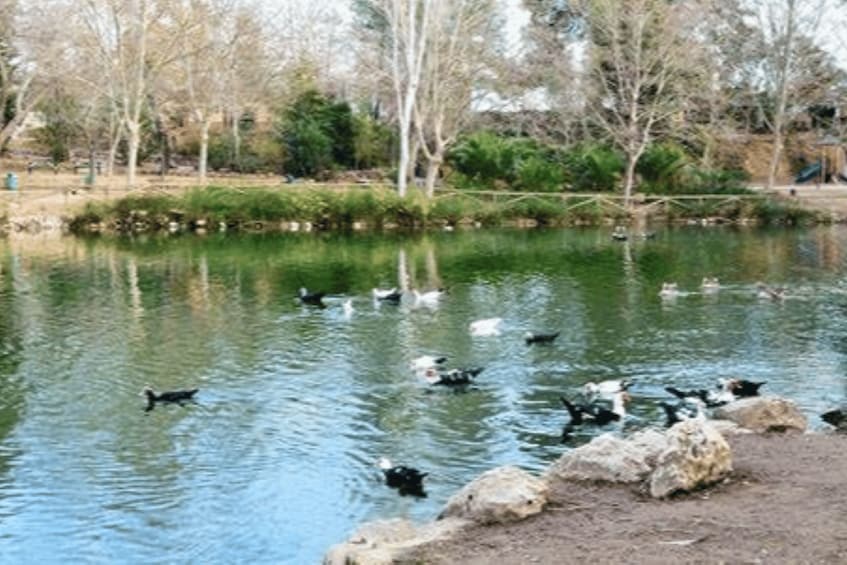 Picture 3 for Activity Valencia: Anna Alhambra and 3 Waterfalls Guided Tour