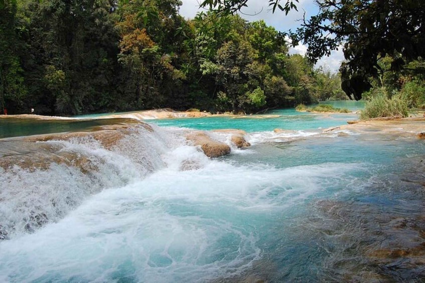 Picture 3 for Activity Palenque Site, Agua Azul & Misol Ha from San Cristobal