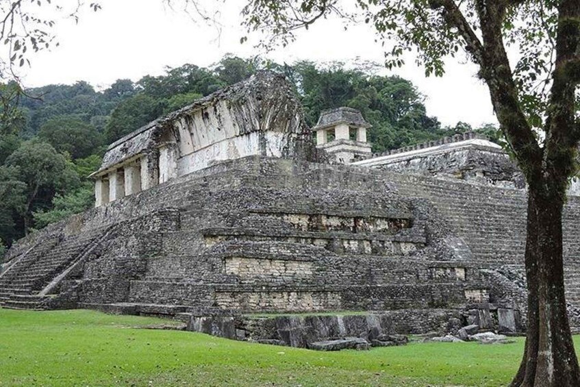 Picture 11 for Activity Palenque Site, Agua Azul & Misol Ha from San Cristobal