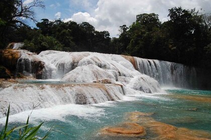 Sitio de Palenque, Agua Azul y Misol Ha desde San Cristóbal