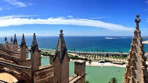 Palma de Mallorca: Old Town Guided Tour & Cathedral Visit