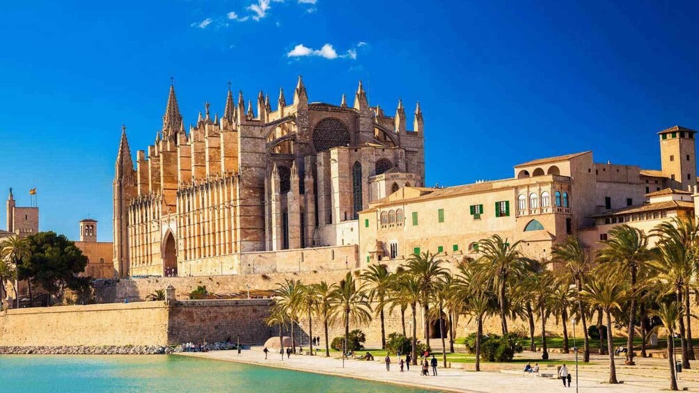 Picture 1 for Activity Palma de Mallorca: Old Town Guided Tour & Cathedral Visit