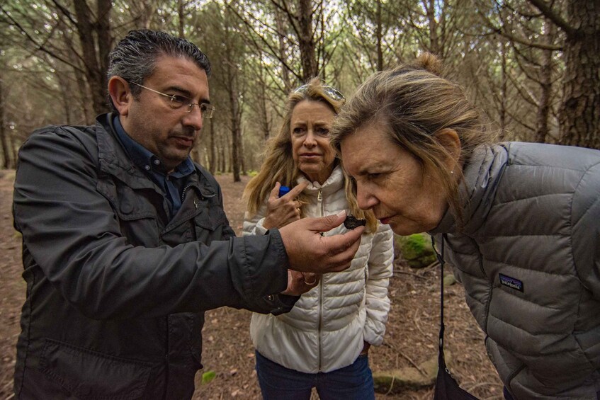 Picture 1 for Activity Palazzolo Acreide: Truffle Hunting with Lunch and Wine