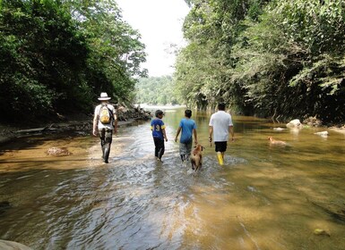 360 Jungle Tour Expedition Amazonia Ecuador