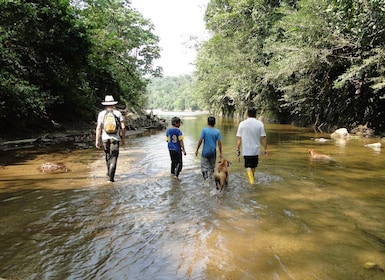 360 Jungle Tour Expedition Amazonia Ecuador