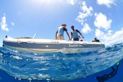 Santa María: curso de buceo de revisión con 2 inmersiones guiadas