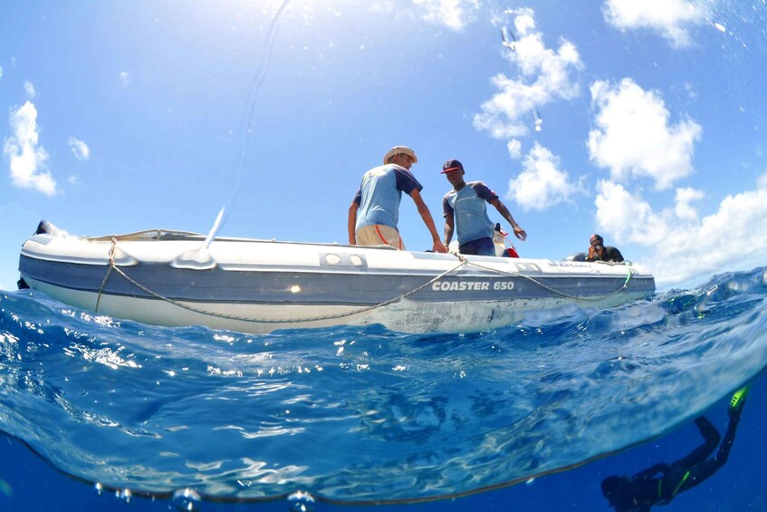 Santa Maria: Review Diving Course with 2 Guided Dives