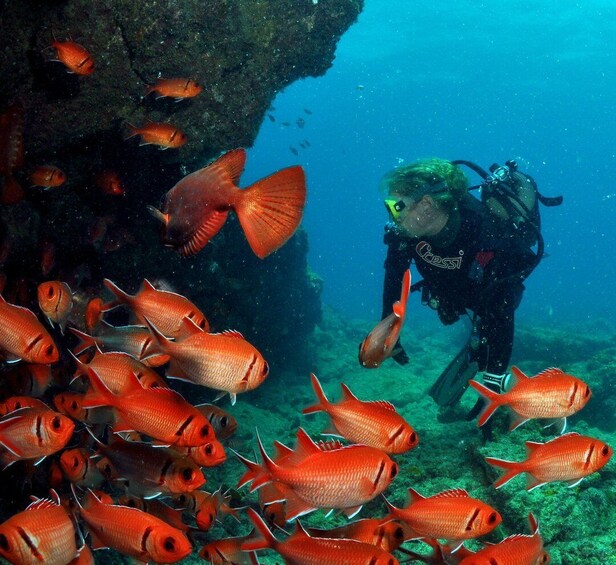 Picture 2 for Activity Santa Maria: Review Diving Course with 2 Guided Dives