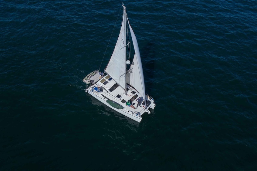Marina Del Rey : 4 hour Private Catamaran Sailboat for 6