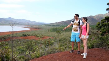Culture & Country Discovery Tour