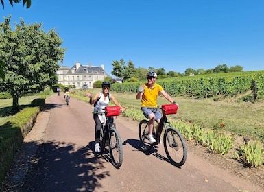 Au départ de Saumur : Vallée de la Loire - Excursion privée de 2 jours à vé...