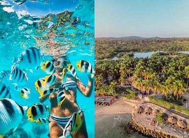 Cartagena: 5 Must-See Rosario Islands Highlights with Lunch