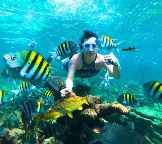 Picture 8 for Activity Cartagena: See 5 Rosario Islands with Lunch & Snorkel Option