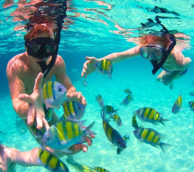 Picture 9 for Activity Cartagena: See 5 Rosario Islands with Lunch & Snorkel Option
