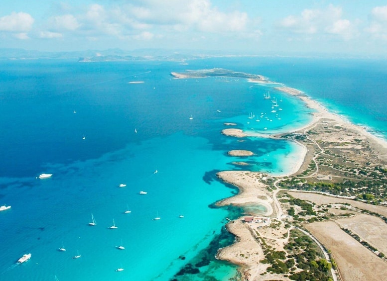 Picture 4 for Activity Ibiza: All-Inclusive Boat Trip to Formentera