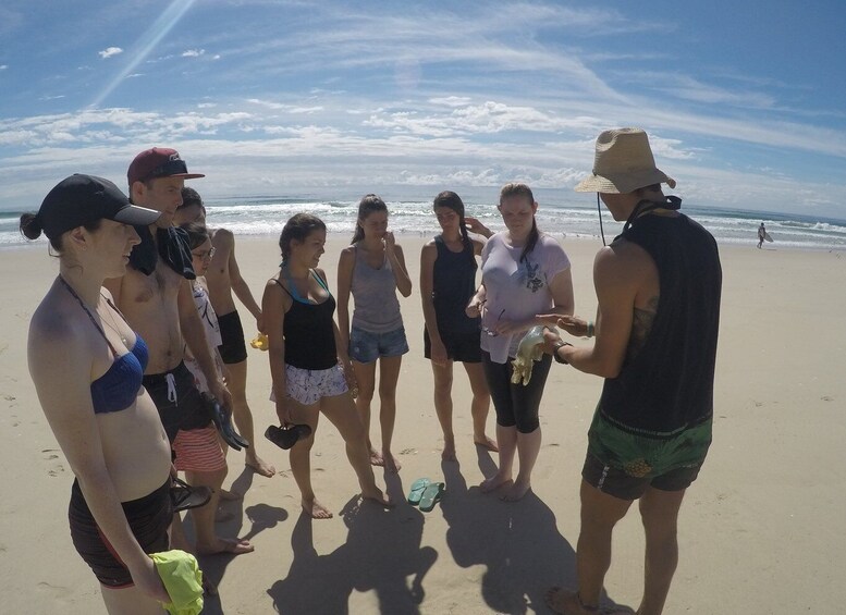 Picture 7 for Activity Gold Coast: Kayaking and Snorkeling Guided Tour