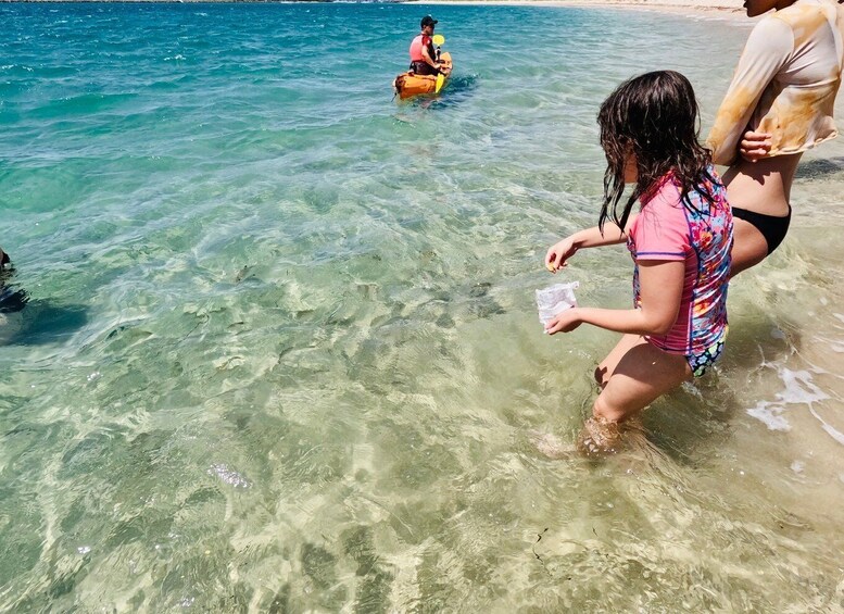 Picture 5 for Activity Gold Coast: Kayaking and Snorkeling Guided Tour