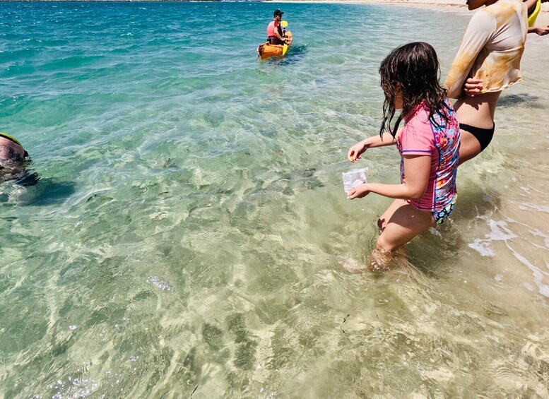 Picture 5 for Activity Gold Coast: Kayaking and Snorkeling Guided Tour