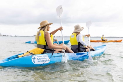 Gold Coast: Kayaking and Snorkelling Guided Tour