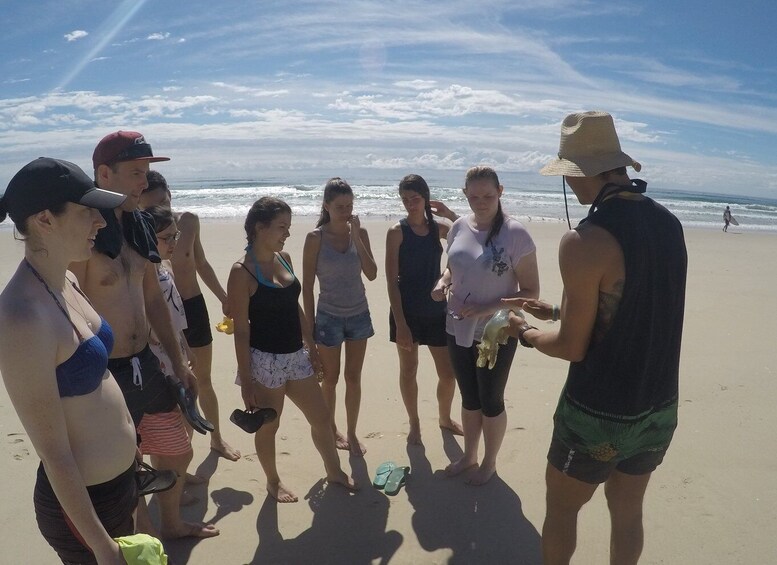 Picture 7 for Activity Gold Coast: Kayaking and Snorkeling Guided Tour