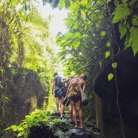 Picture 3 for Activity Tetebatu: Rice Fields, Waterfall, & Monkey Forest Day Tour