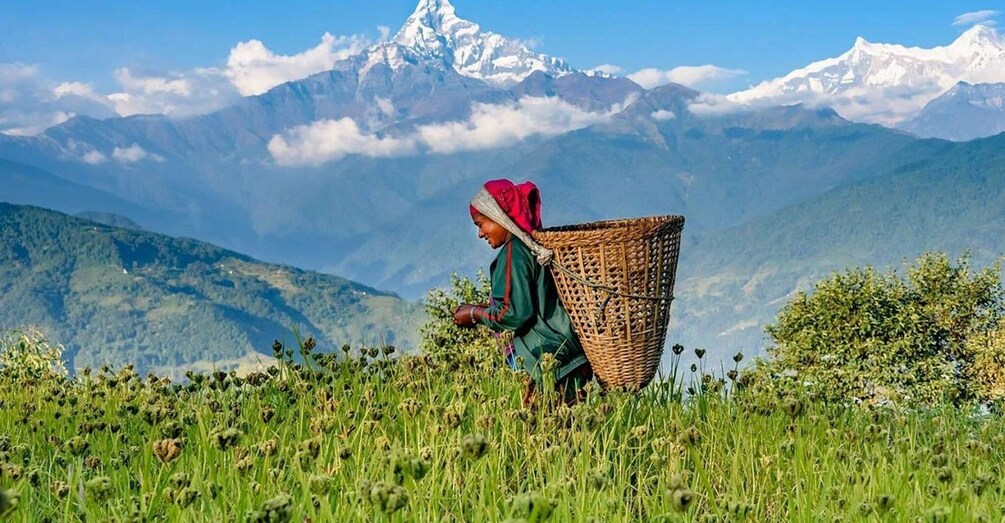 Picture 3 for Activity Australian Base Camp Hike For Sunrise over the Himalayas