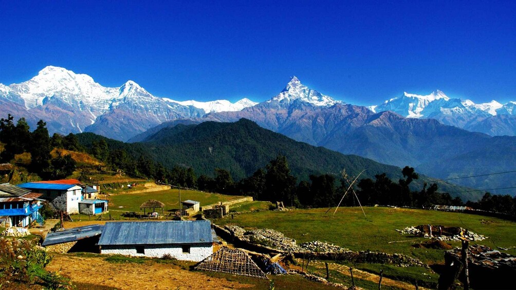 Picture 4 for Activity Australian Base Camp Hike For Sunrise over the Himalayas