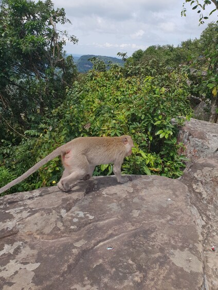 Picture 8 for Activity Two Days Preah Vihear Tour