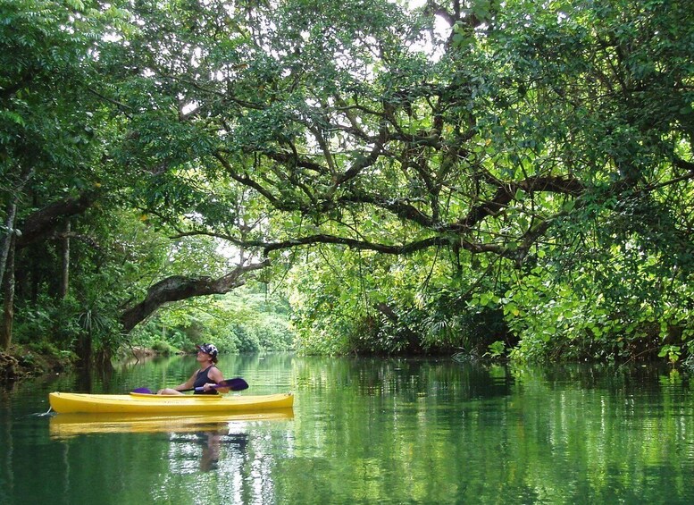 Picture 2 for Activity Port Vila: Full-Day River Kayaking and Cascades Tour