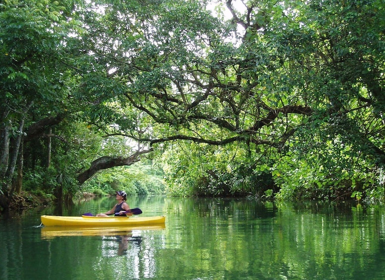 Picture 2 for Activity Port Vila: Full-Day River Kayaking and Cascades Tour