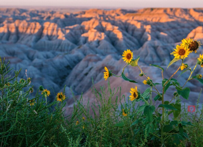 Picture 6 for Activity Black Hills & Badlands: Self-Guided Driving Tour Bundle