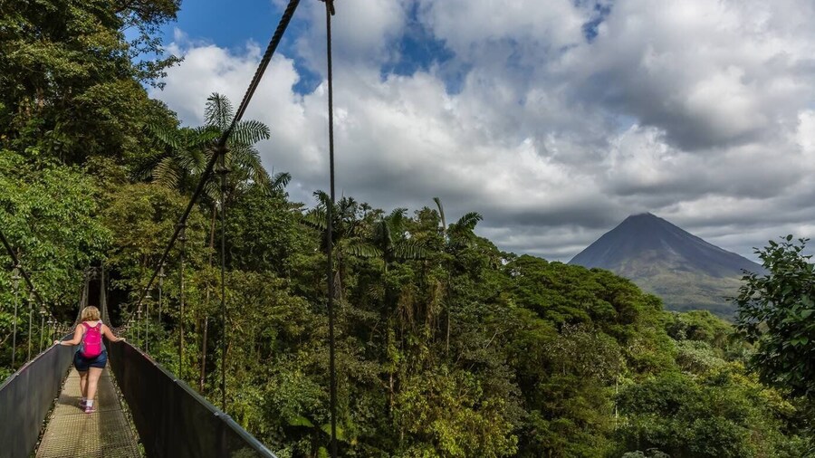 From La Fortuna: Hanging Bridges & Arenal Volcano with Lunch