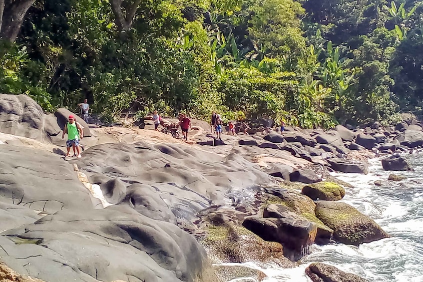 Picture 4 for Activity From São Paulo: Santo Amaro Island & Wild Beaches Day Trip