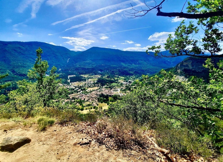 Picture 4 for Activity Mountain Train Experience: Hike & Mystic Forest (From Nice)