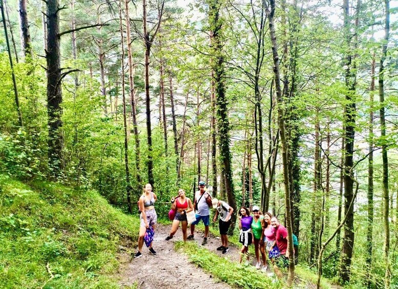 Picture 9 for Activity Mountain Train Experience: Hike & Mystic Forest (From Nice)
