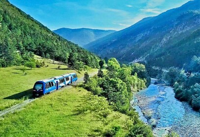 山地火车体验：徒步旅行和神秘森林（从尼斯出发）