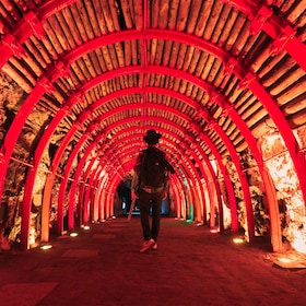 Bogota : Cathédrale de sel de Zipaquirá et lac Guatavita excursion d’une jo...