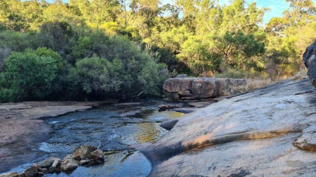 Picture 1 for Activity Perth: Hidden Gems Hiking Tour with Lunch and Cider