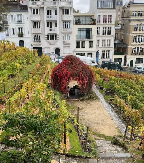 Picture 2 for Activity Private tour of Montmartre.