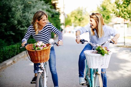 Recorrido en Bicicleta por las Principales Atracciones de Colonia con Guía ...