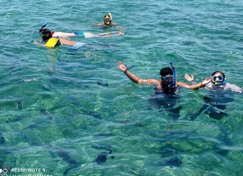 Picture 7 for Activity San Pedro: Snorkeling Trip with 4 Stops, Sharks, and Lunch