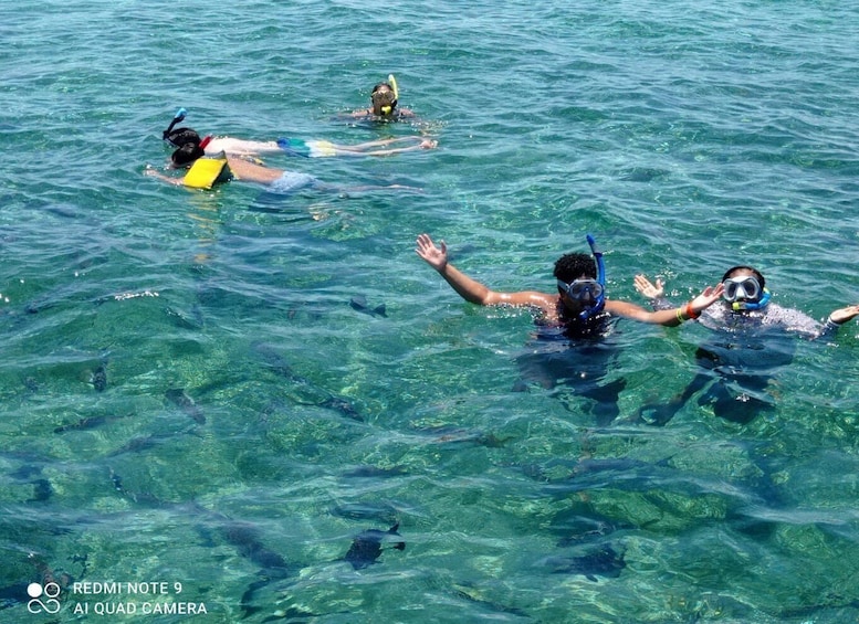 Picture 6 for Activity San Pedro: Snorkeling Trip with 4 Stops, Sharks, and Lunch