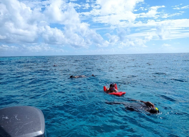 Picture 2 for Activity San Pedro: Snorkeling Trip with 4 Stops, Sharks, and Lunch