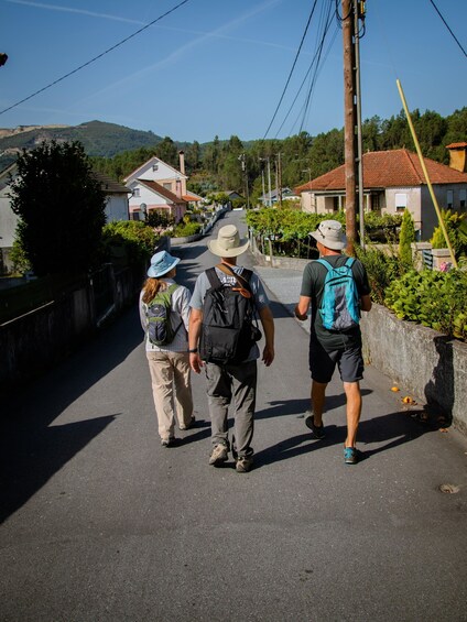 Picture 5 for Activity Ponte de Lima: treasures from the oldest village of PT