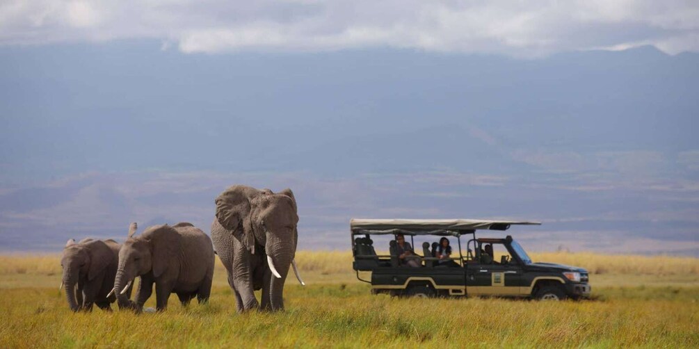 Picture 23 for Activity From Nairobi ; Day Tour To Amboseli National Park