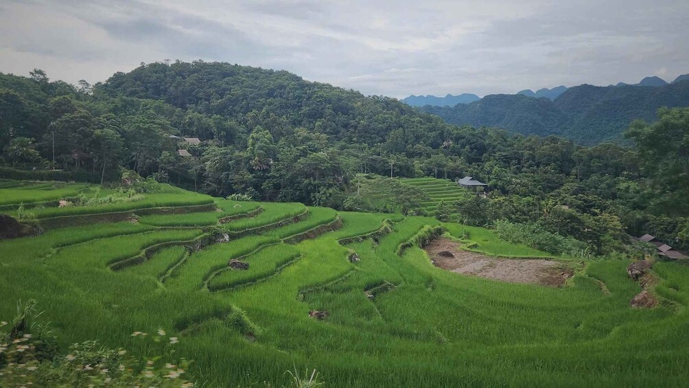 Picture 24 for Activity Pu Luong Loop 2 Days With Trekking And Local Experience