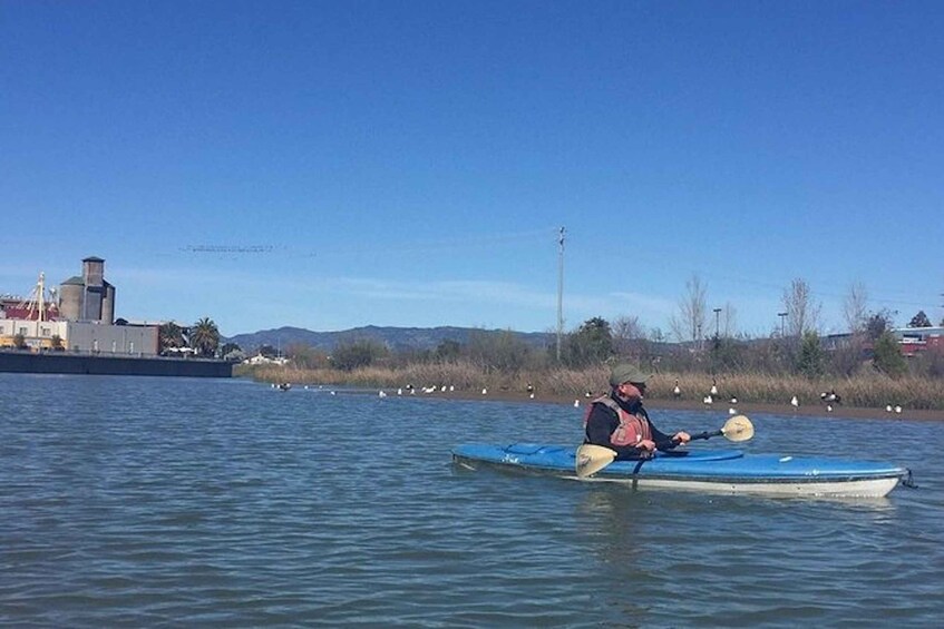 Picture 3 for Activity Napa Valley: Napa River Kayak Rental