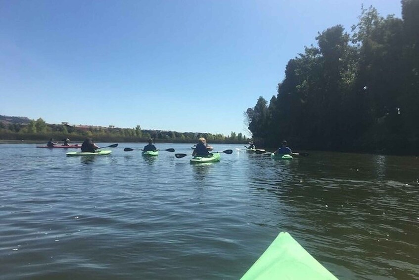 Picture 4 for Activity Napa Valley: Napa River Kayak Rental